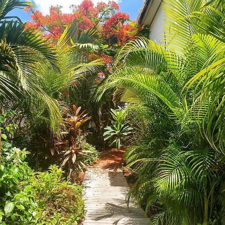 Villa Blue Lagoon Suite Apartment Lowlands Exterior photo